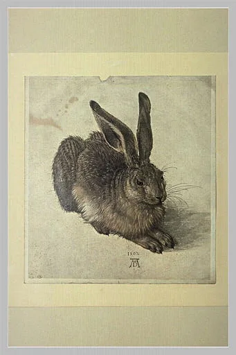 Lièvre couché
