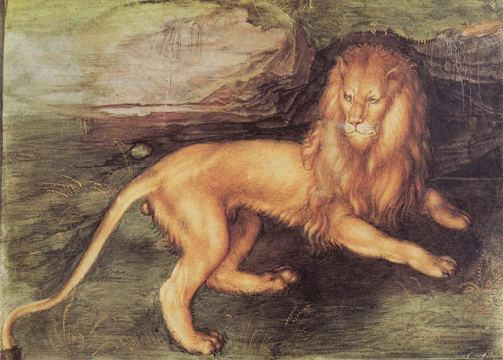 Lion (No. 1)