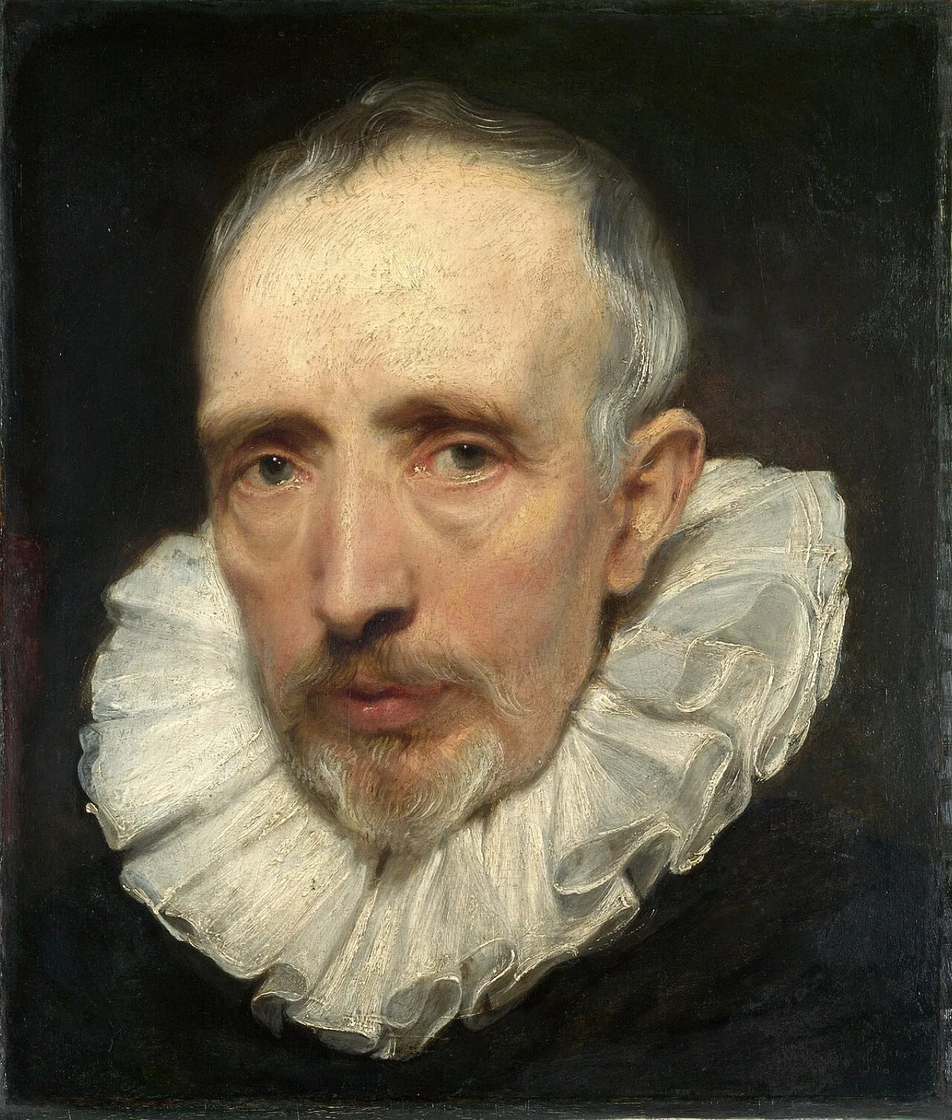 Portrait of Cornelis van der Geest (No. 1)