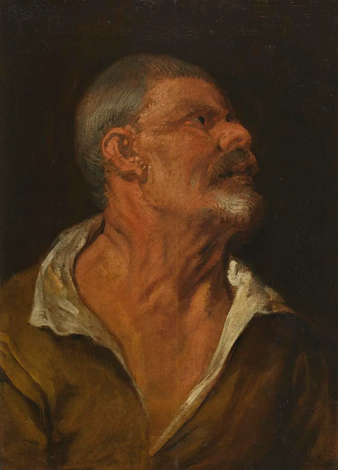 Study of a head (No. 2)