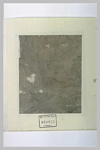 Fragment de paysage