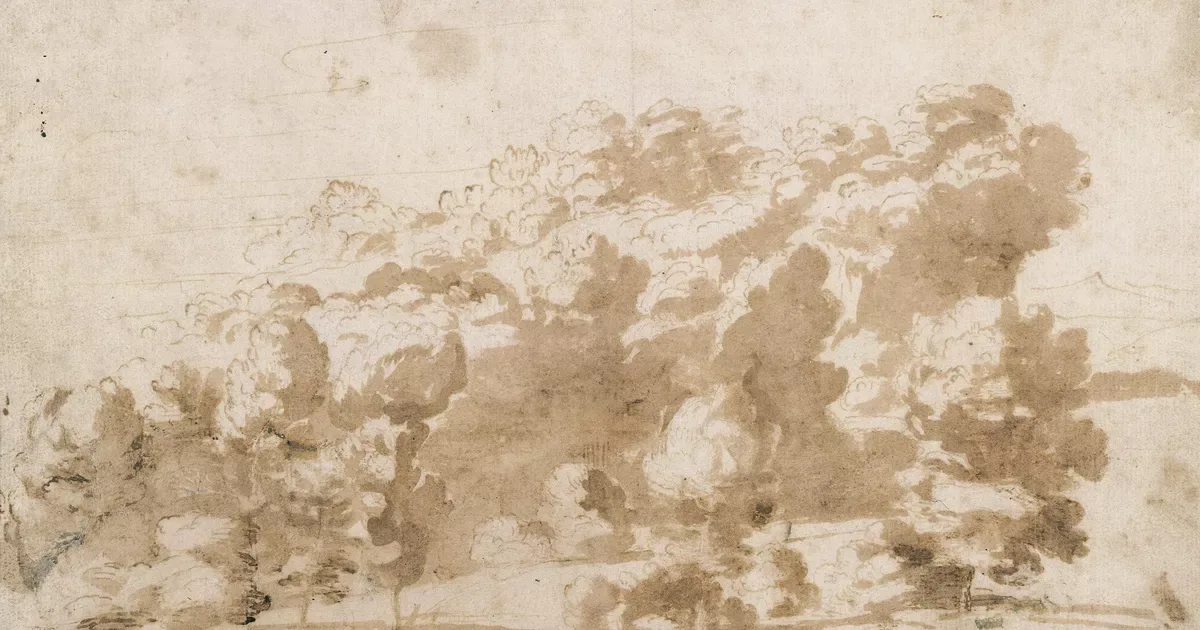 A wooded ridge