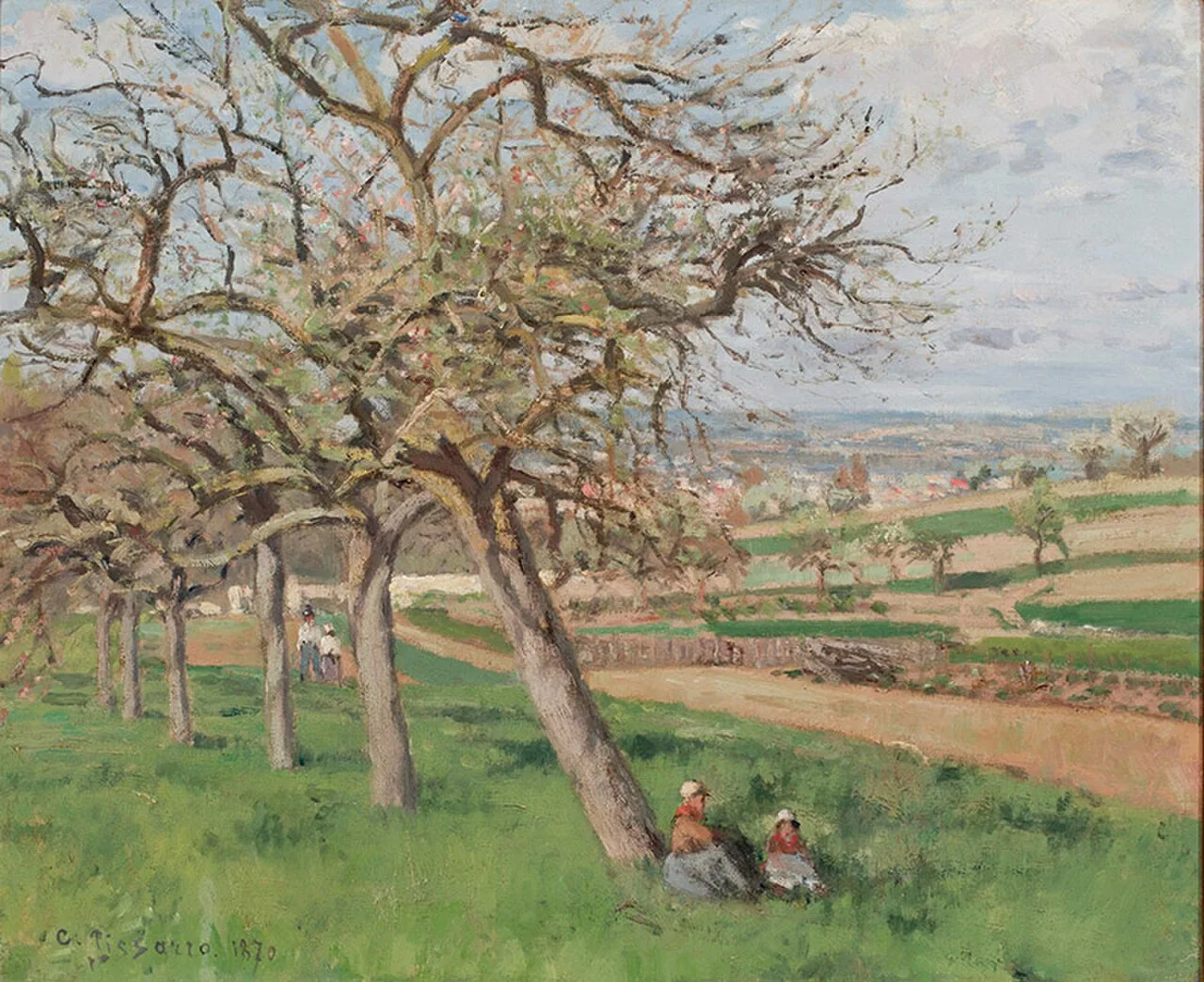 Apple Trees in Bloom