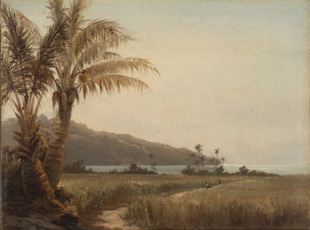 Coconut Palms by the Sea, St. Thomas