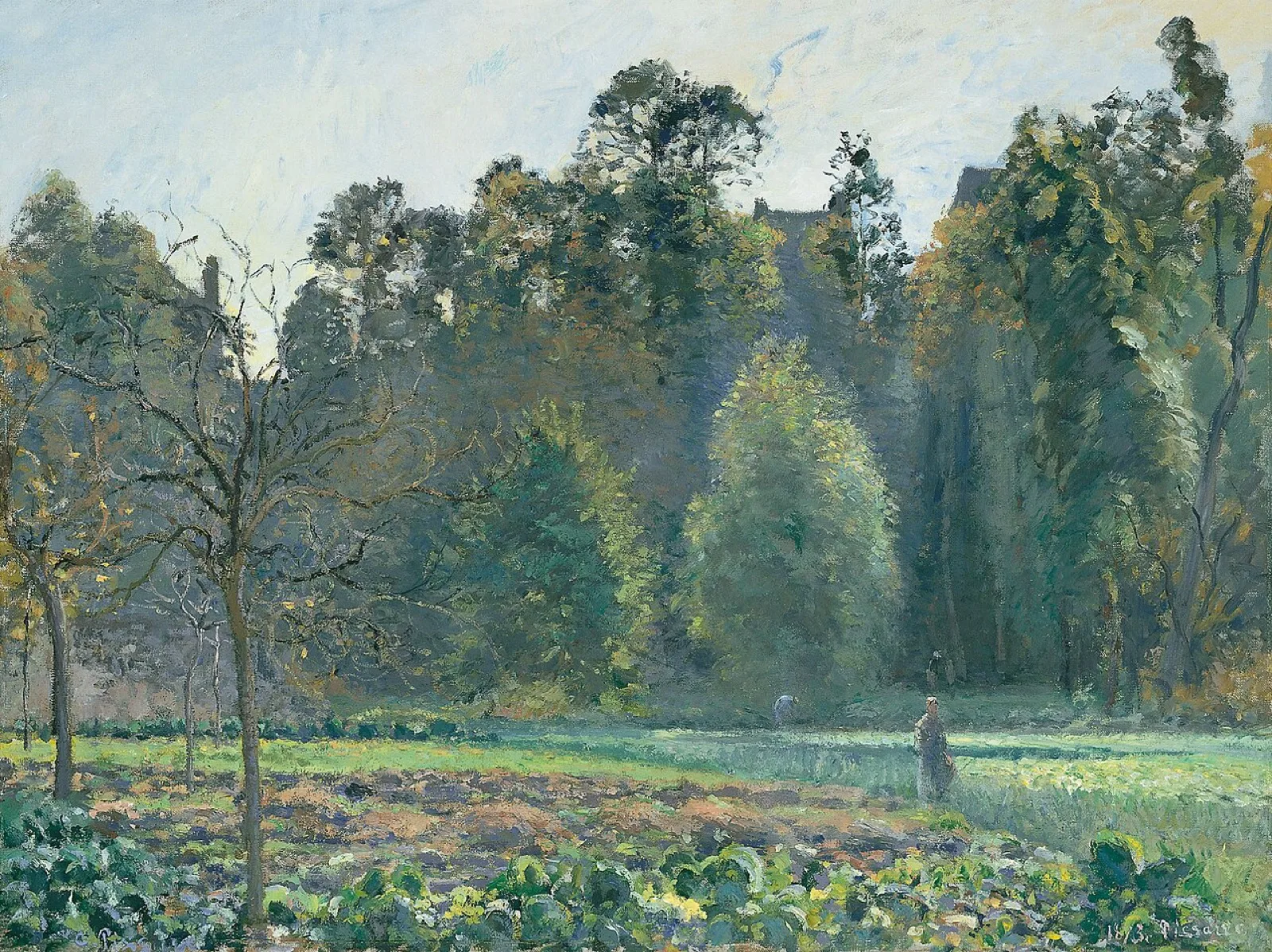 Cabbage Field, Pontoise