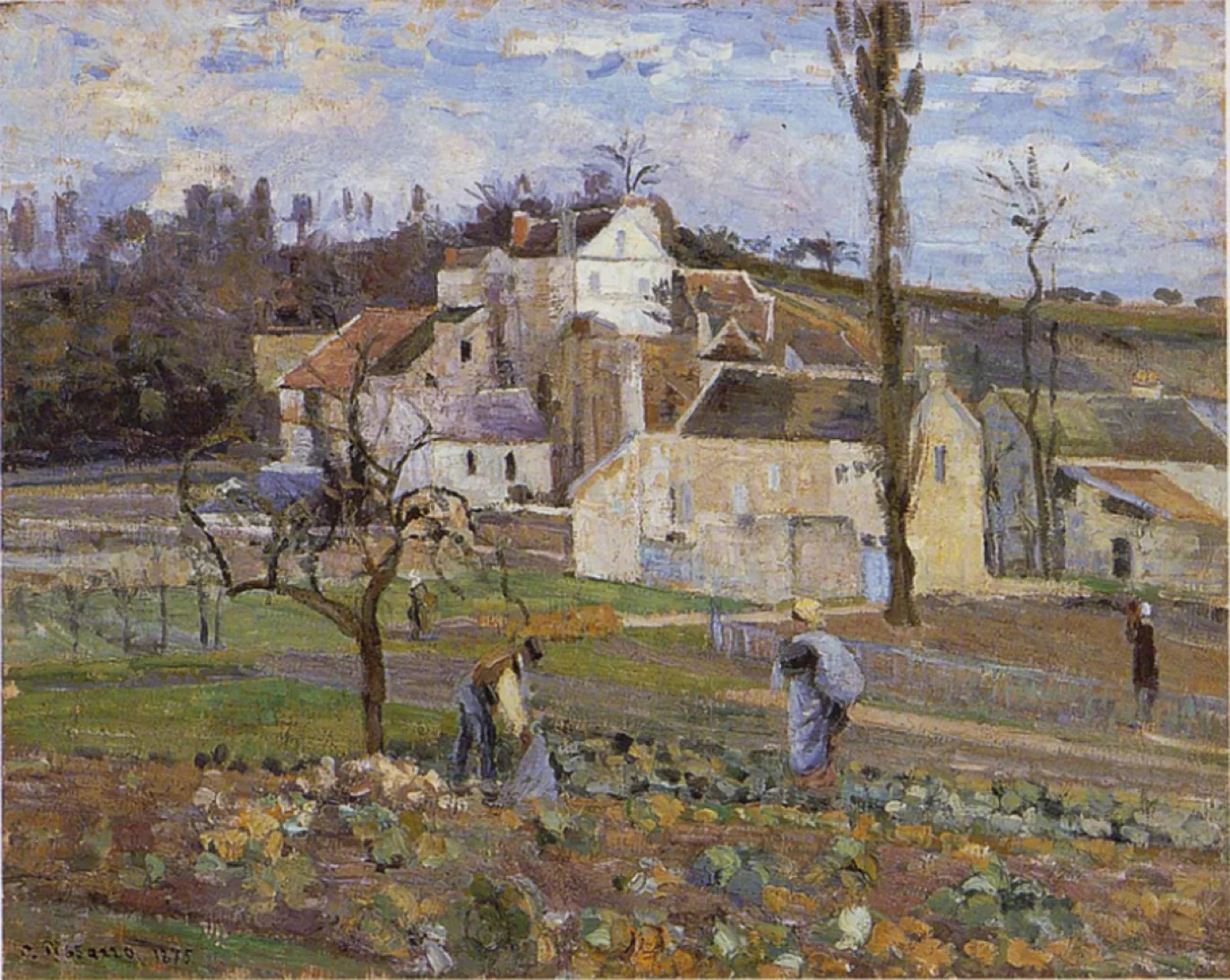 Cabbage Patch Near the Village