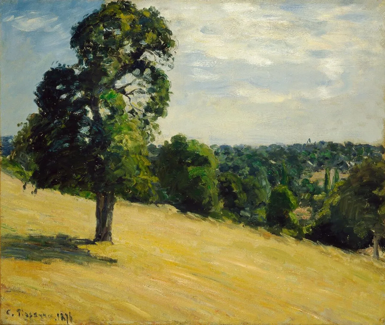 The Big Pear Tree at Montfoucault