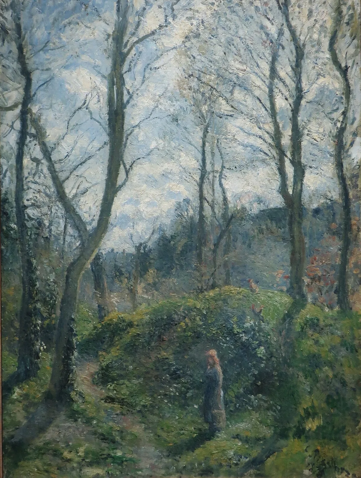 Woodland scene. Spring