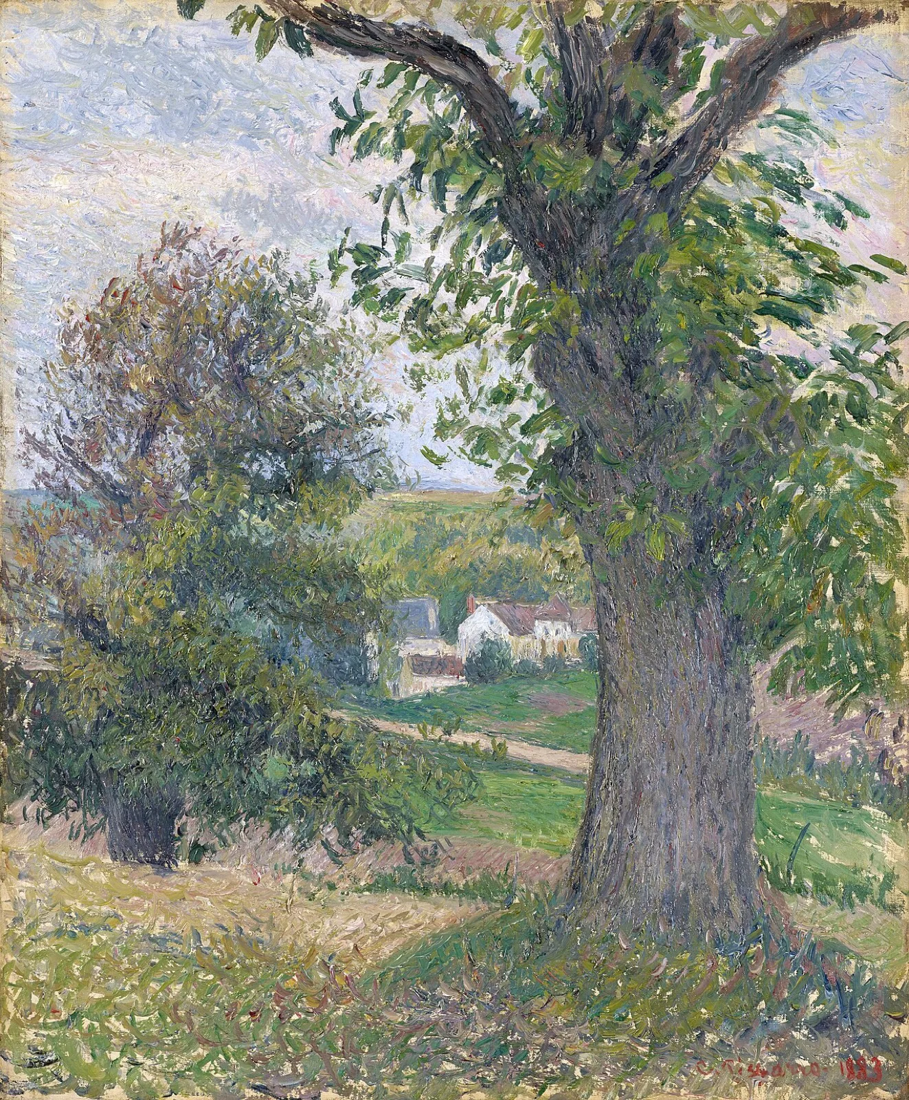 Chestnut trees in Osny