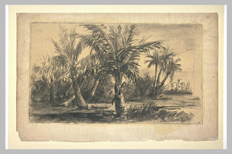 Paysage des Antilles