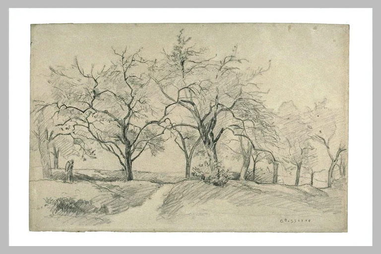 Paysage d'hiver