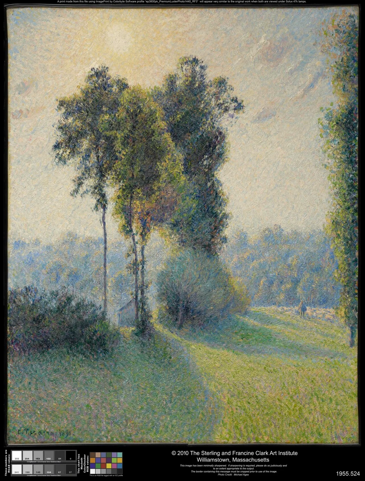 Landscape at Saint-Charles, near Gisors, Sunset