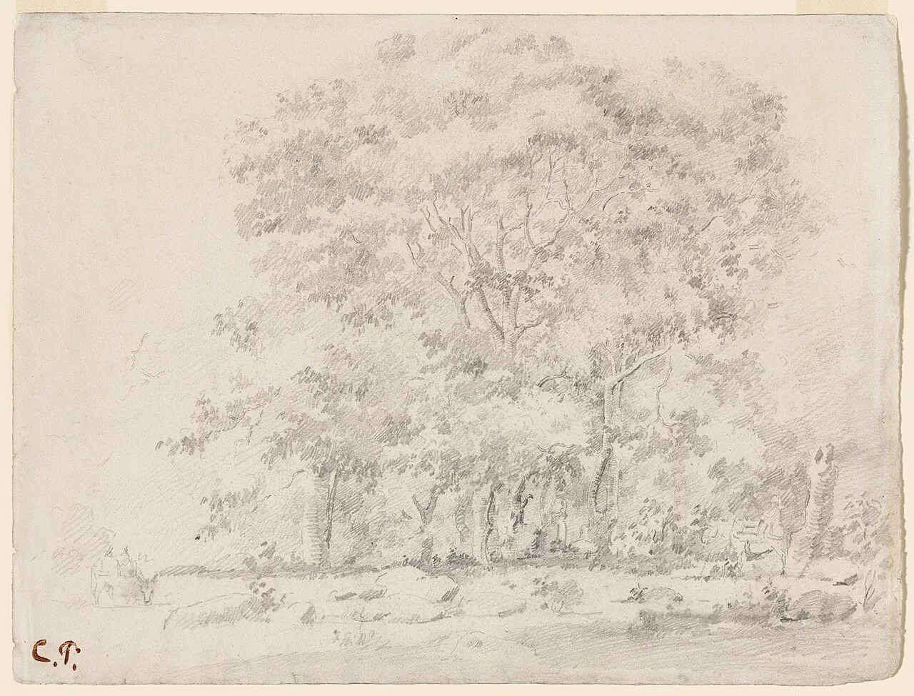 Landscape with Donkeys, Venezuela
