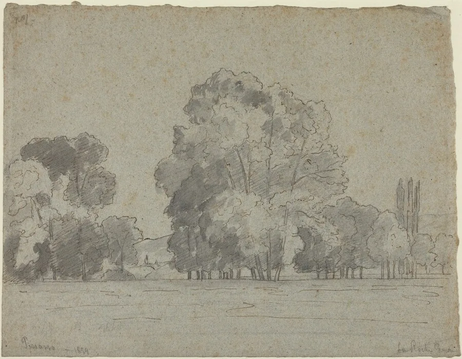 Grove of Trees