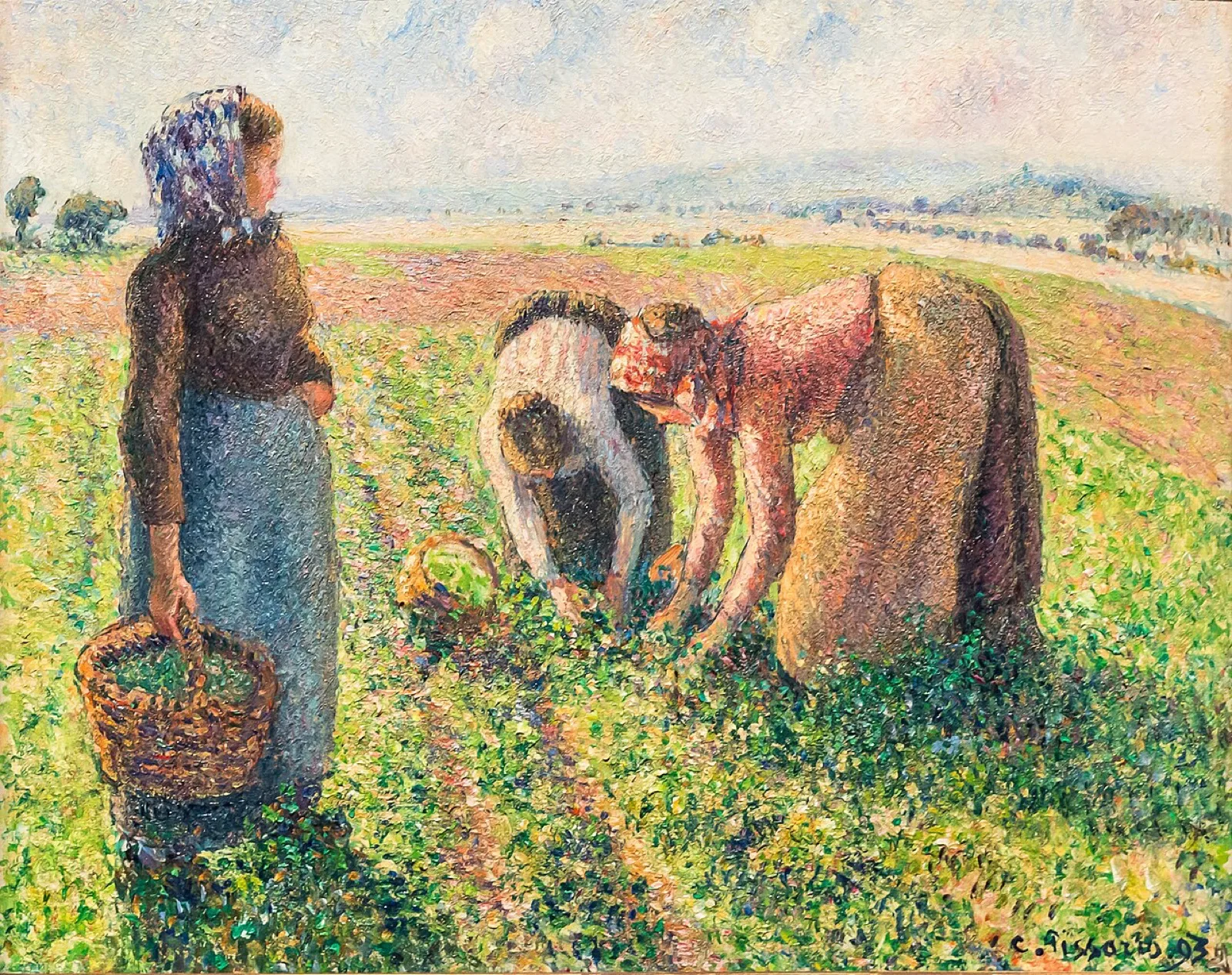 Pea Harvest, Eragny