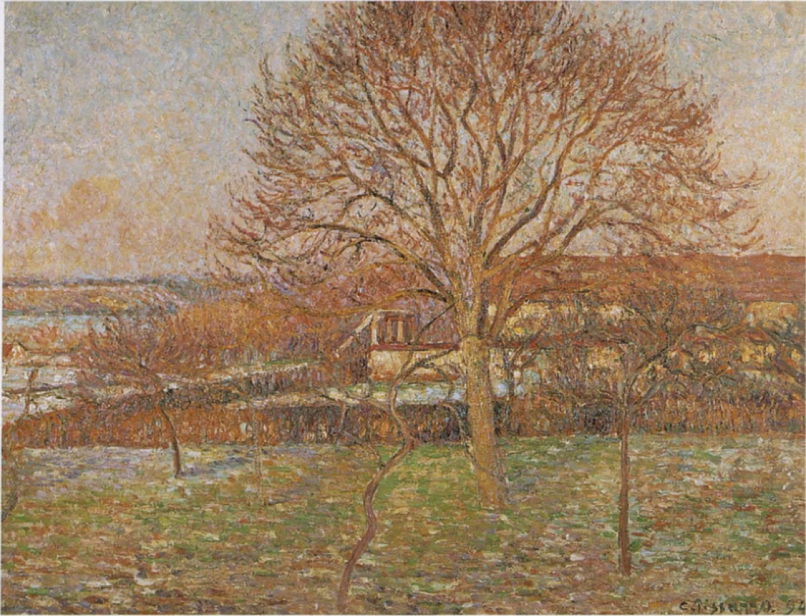 The Big Walnut Tree, Hoar-Frost in Sunlight, Eragny