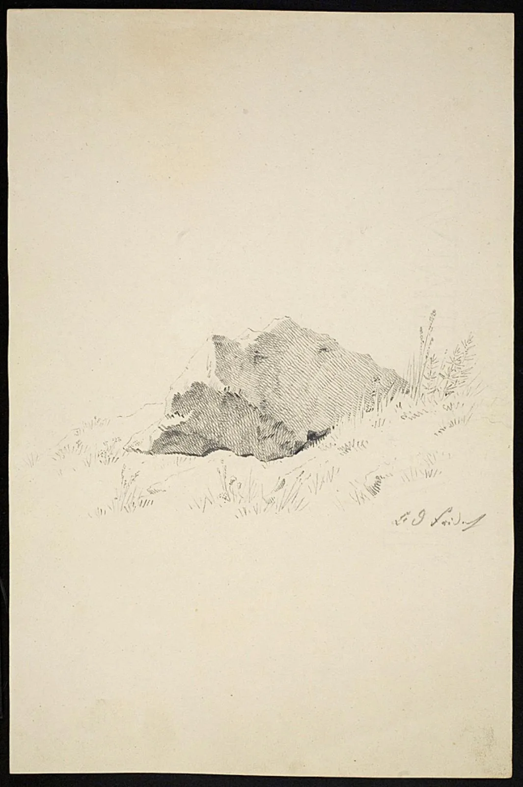 Rocks and Plants