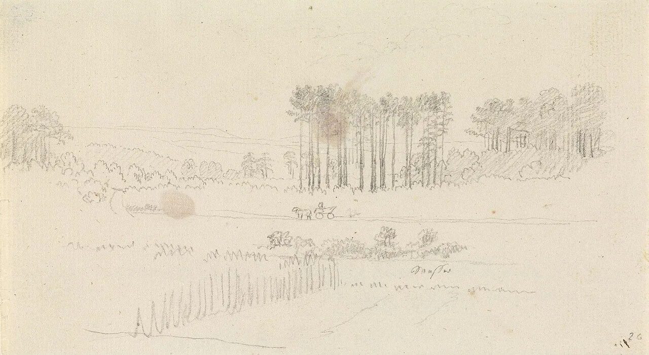 Landschaft mit hohen Kiefern und Pferdewagen