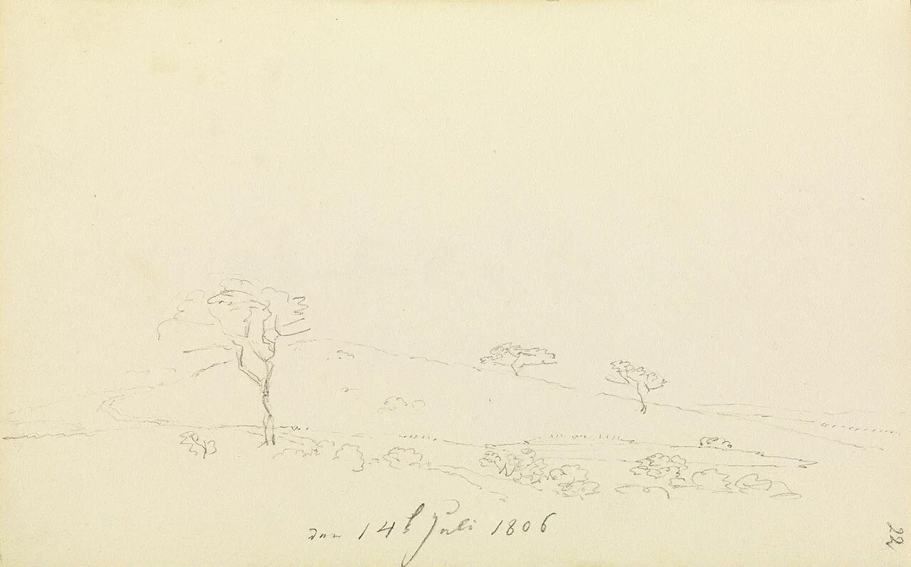 Hügellandschaft mit Weg und drei Bäumen