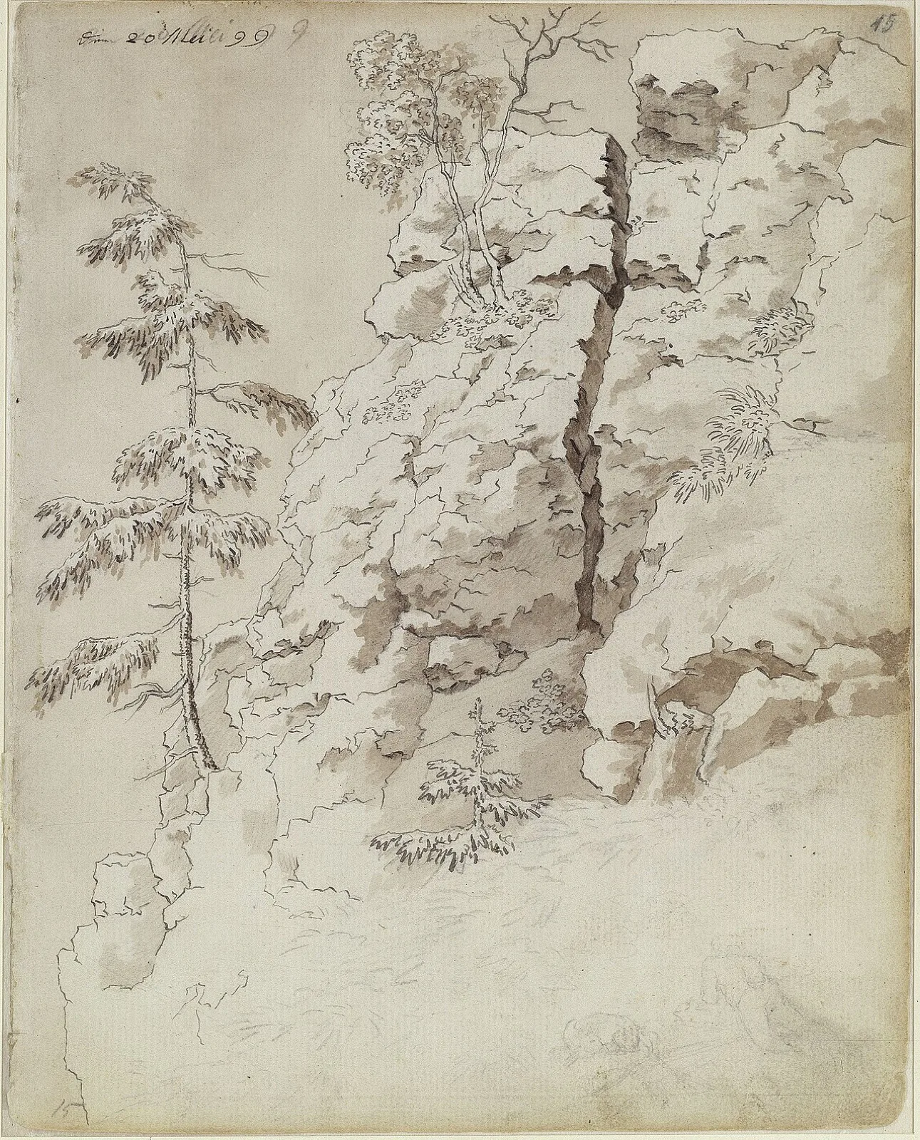 Rocky slope with trees