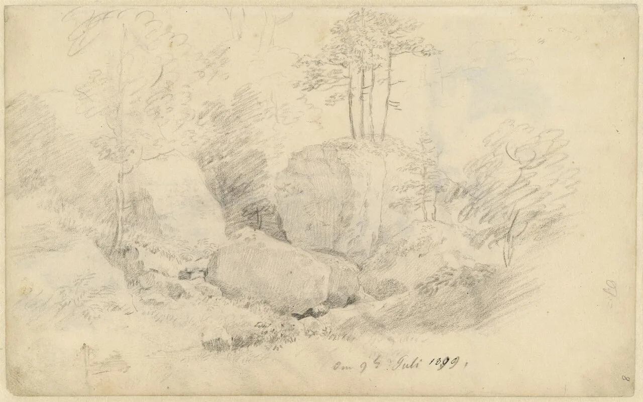 Rocks and trees