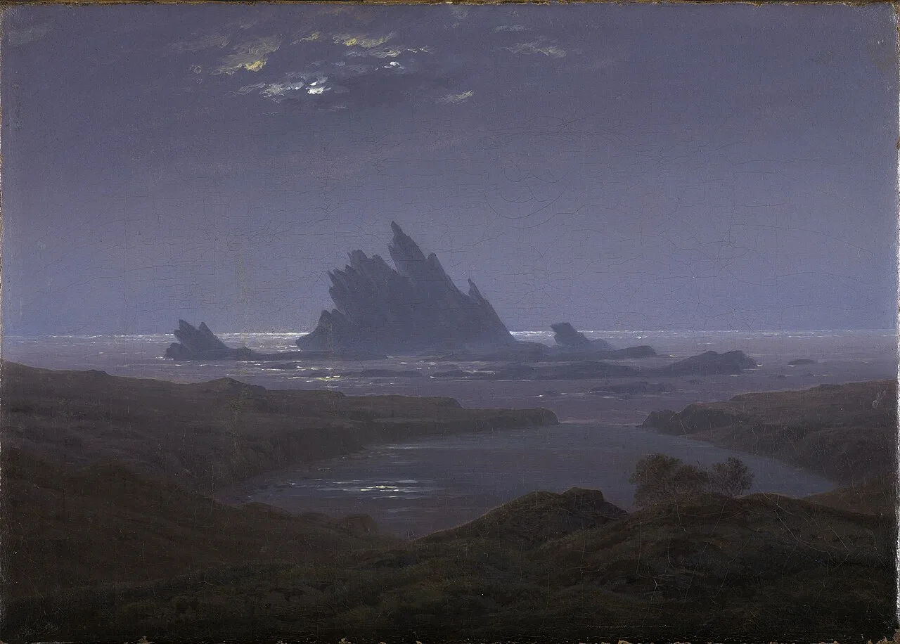 Reefs by the Seashore