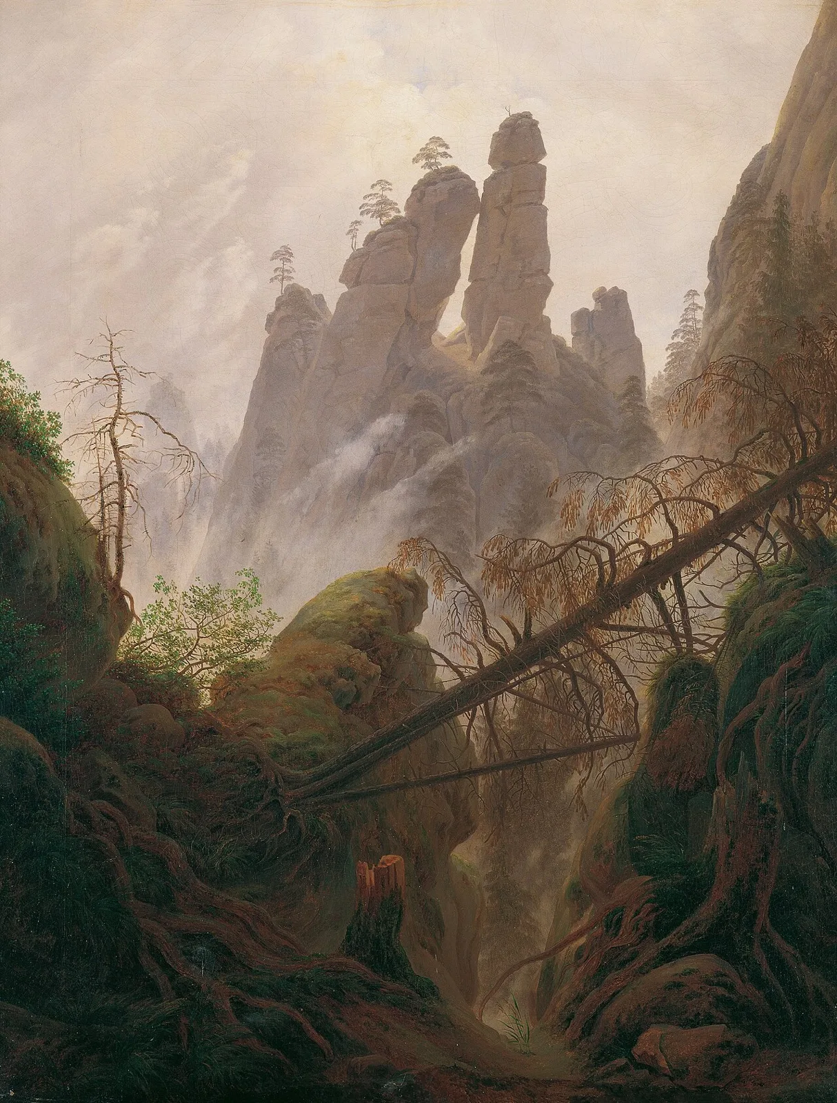 Rocky ravine in the Elbe Sandstone Mountains
