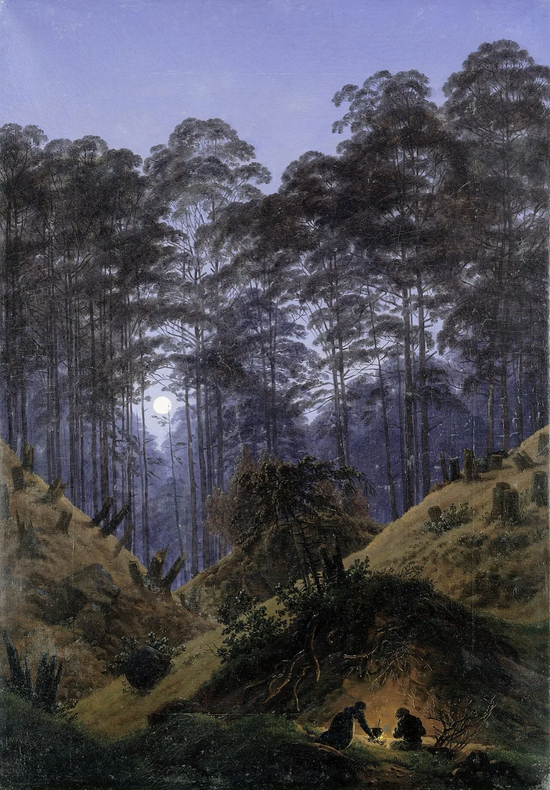 Inside the forest in the moonlight