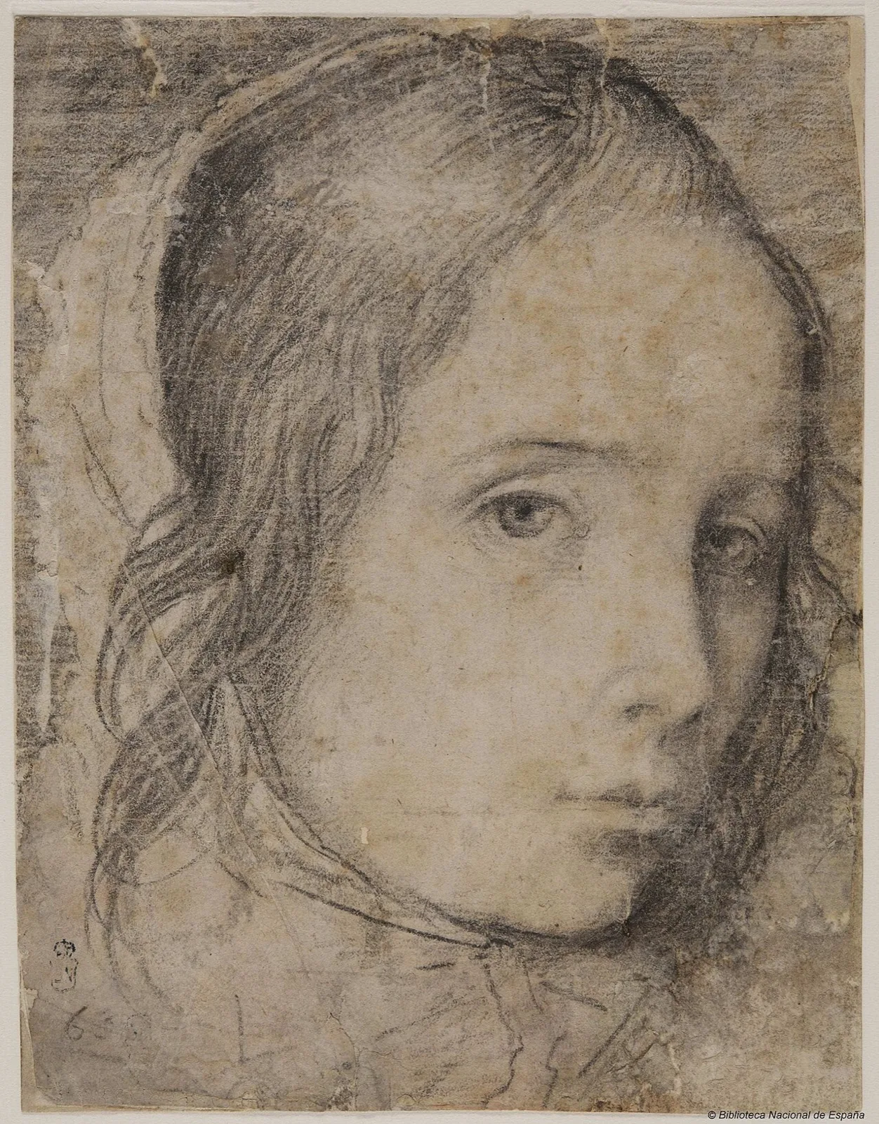 Head of a Girl