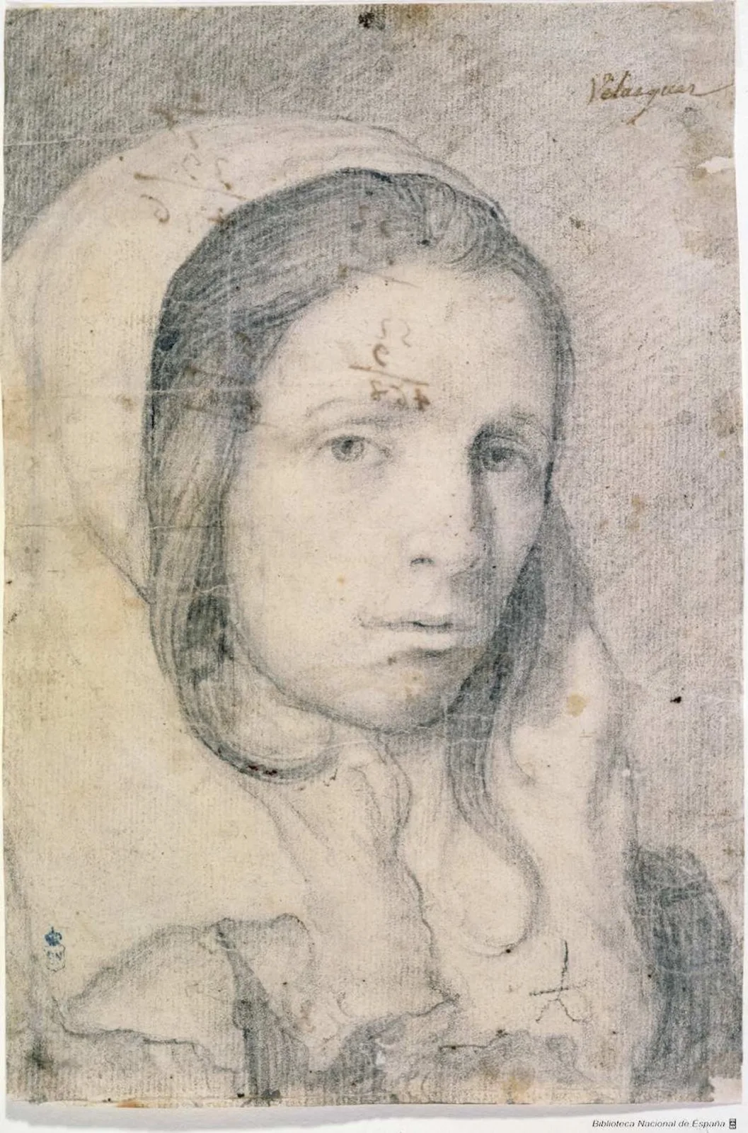 Bust of a Young Woman