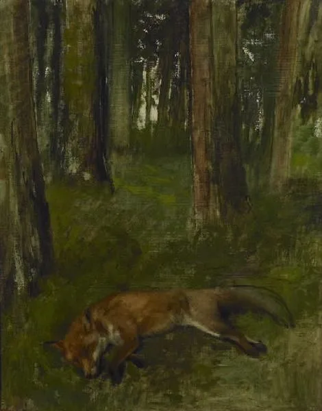 Renard mort, sous-bois