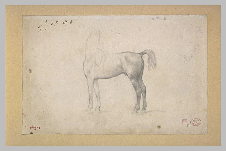 Cheval de profil à gauche