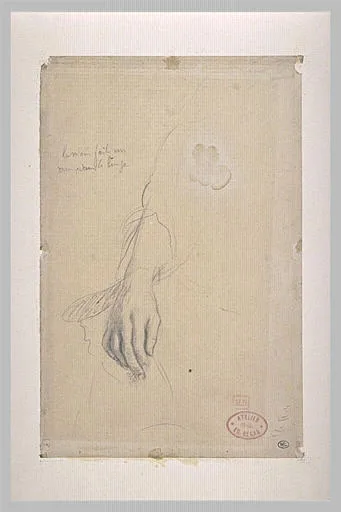 Etude de main