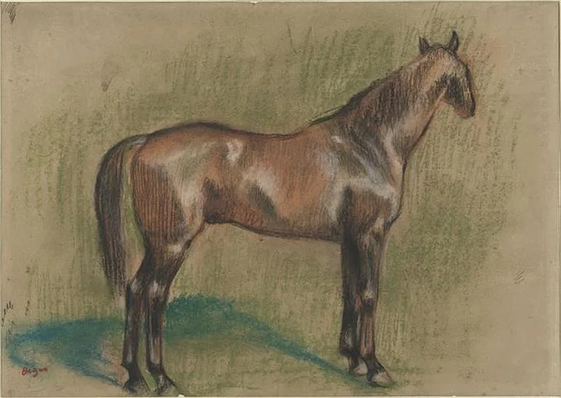 Cheval tourne vers la droite ou etude de cheval