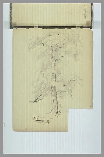 Etude d'arbre