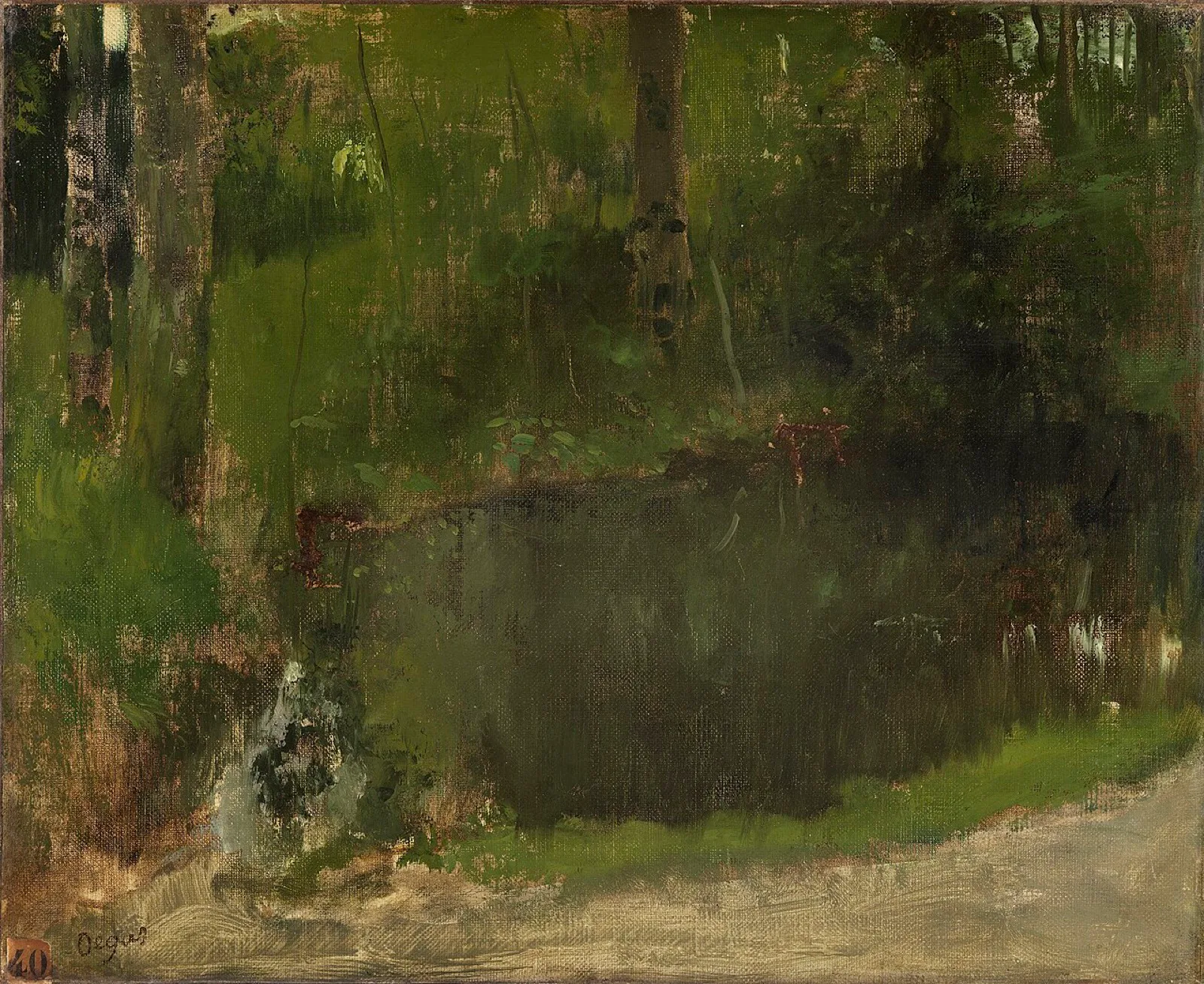The Pond in the Forest