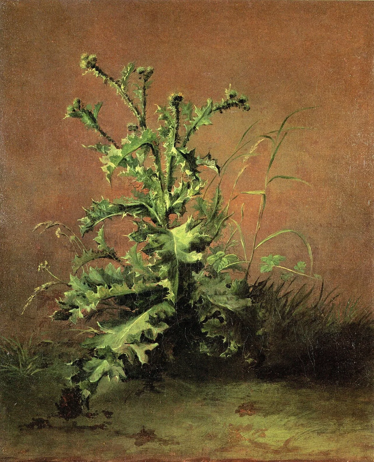 The Thistle