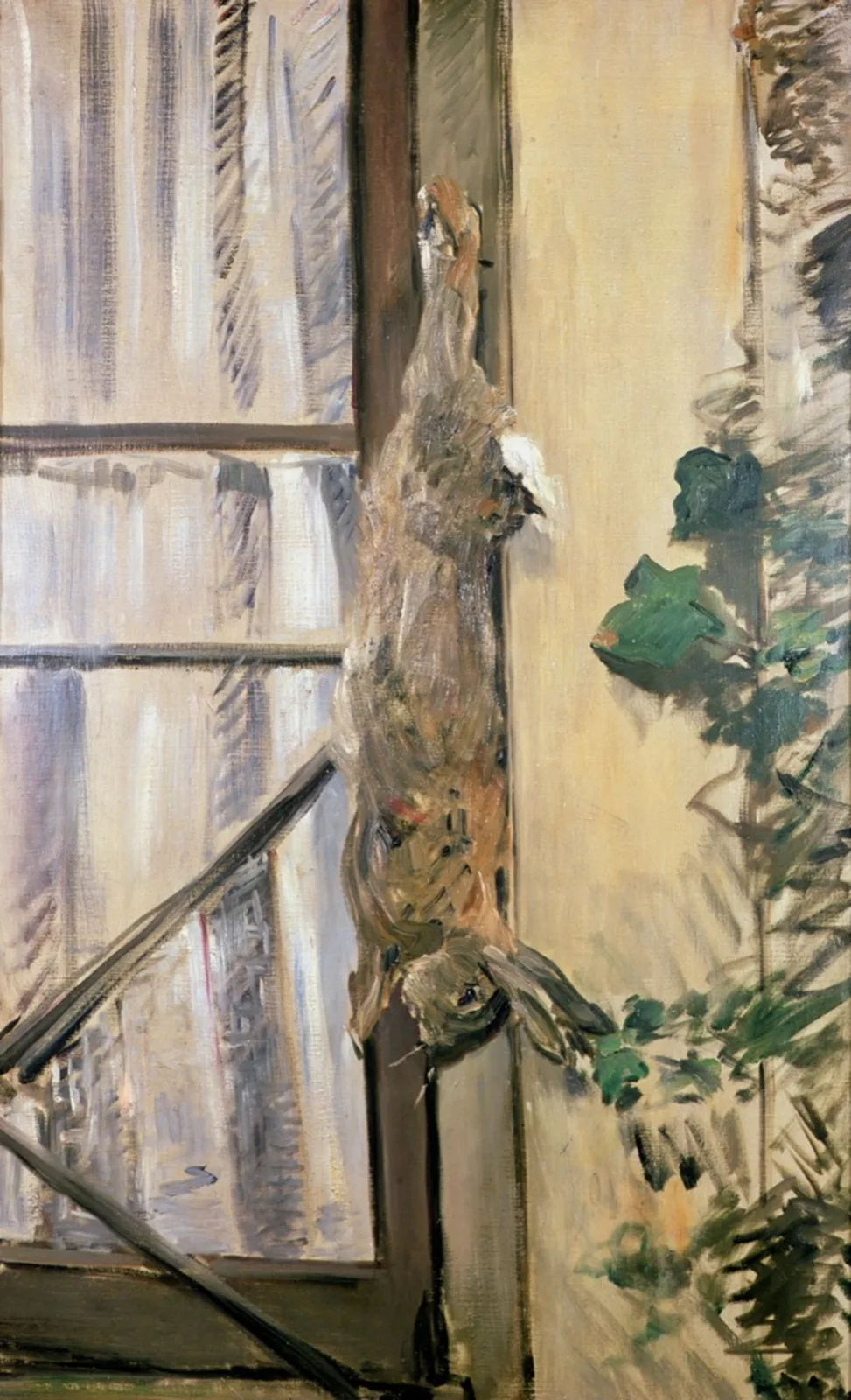 The Rabbit