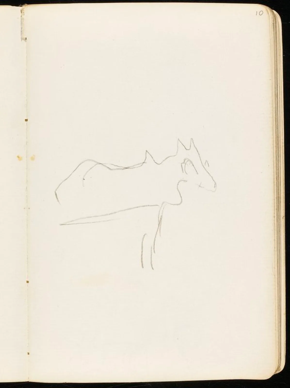 Croquis de cheval attelé