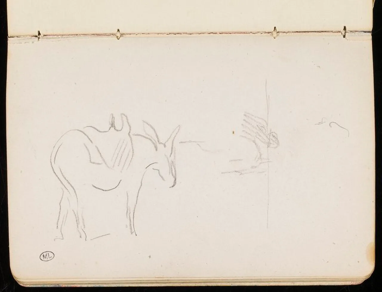 Croquis d'un âne