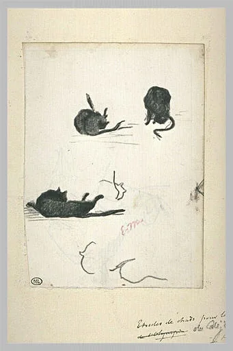 Croquis de trois chats