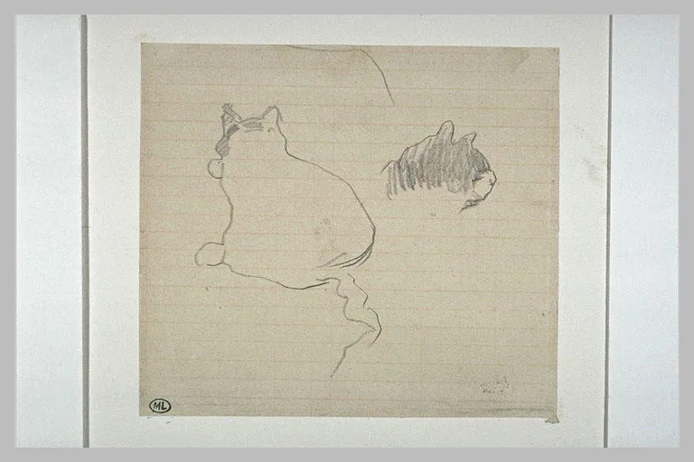 Deux croquis de chats