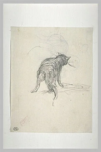 Chat de dos, marchant