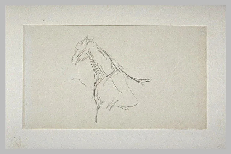 Cheval à mi-corps