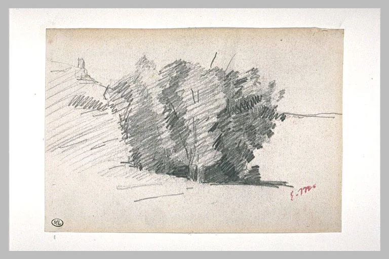Bouquet d'arbres dans la prairie