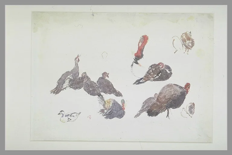 Dindons et canards