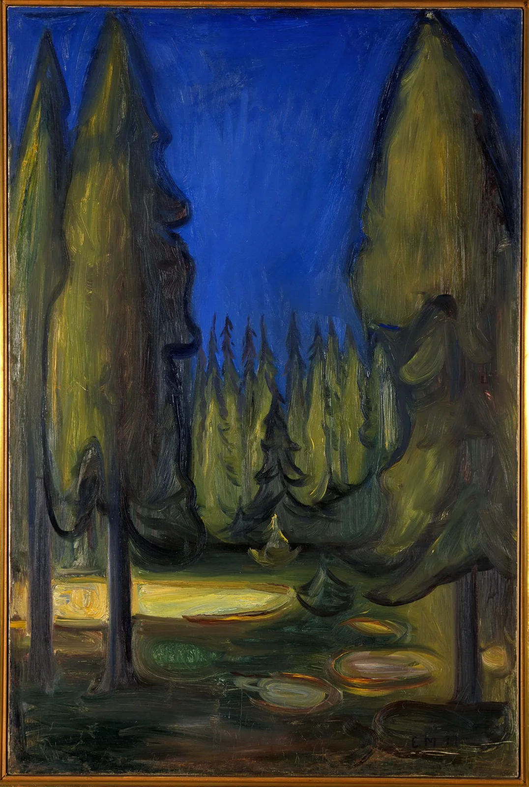 Dark Spruce Forest (No. 1)