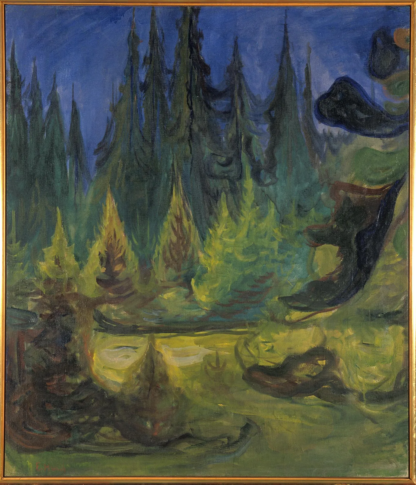 Dark Spruce Forest (No. 4)