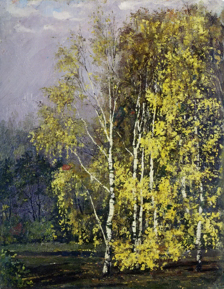Birch Trees in the Autumn