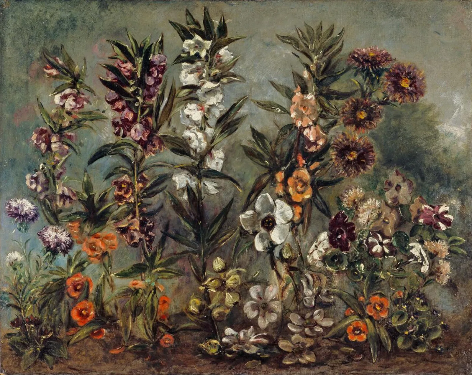Étude d'asters et balsamine